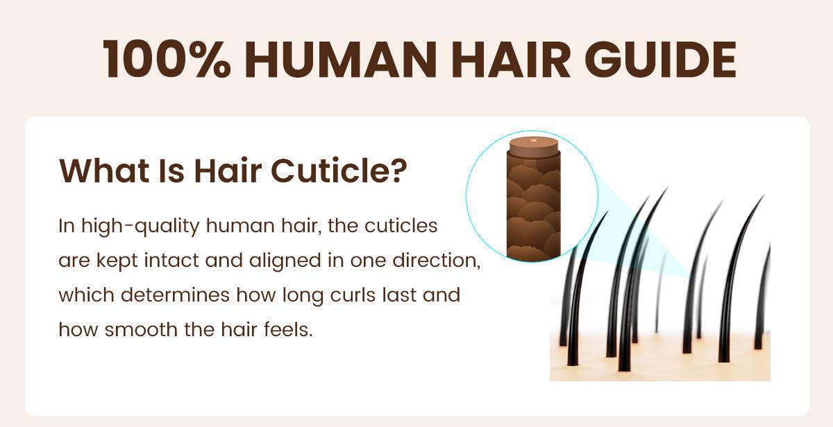 【 Effortless Spring/Summer Curls 】Hot Selling 360 Wig P4/27 Highlight Ombre Color Ashimary Invisi-Strap 360 Skin Lace Wig Water Wave Glueless Human Hair Pre Plucked#Summervibes