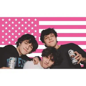 MAGJIUKE Sturniolo American Triplets Flag Tapestry - Pink Chris,Matt,Nick Sturnio USA Wall Hanging Decor For Bedroom And Living Room
