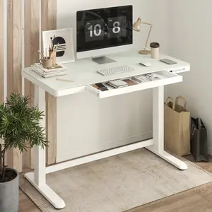 【TikTokShopBlackFriday】FLEXISPOT EG8 Electric Standing Desk 120×60 cm, White Glass Top with Storage Drawer & USB Ports, Adjustable Height, Home Office Sit-Stand Desk