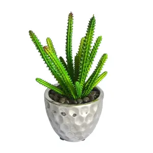 Jeco  4.72 in. PE Succulent Plant, Green