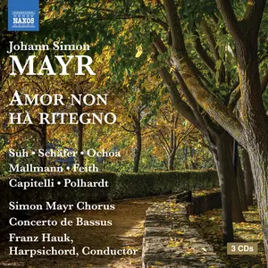 Yeree Suh - Mayr: Amor non ha ritegno  [COMPACT DISC - CD]