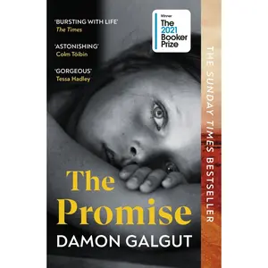 USED-The promise ( booker prize 2021) by Damon Galgut (Paperback)