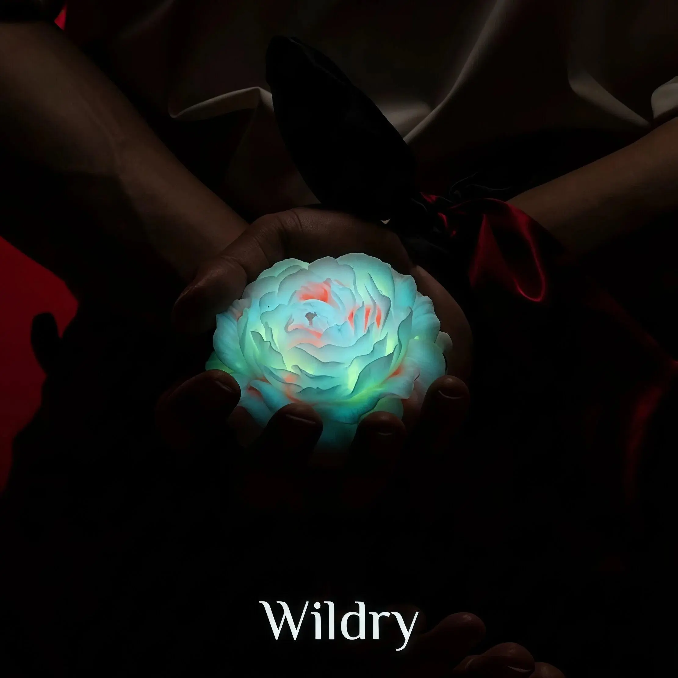 [Wildry] Glowing Floral Massage Candle | 107℉ Warm Peelable Wax | Intimate Couples Gift | Dark Romantic Decor