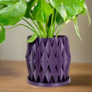 Stellaria Unique Plant Pot with Drainage and Saucer