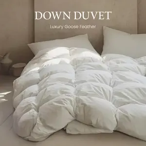 APSMILE Luxurious Goose Down Feather Comforter Duvet Insert Ultra Soft Fluffy Lightweight All Season Down Comforter Super Warmth Hotel Collection Bedding Sleeping Lightweight Cozy Blanket mothersdaygift