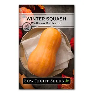 Waltham Butternut Squash