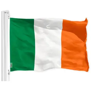 G128 Ireland Irish Flag | 2x3 Ft | LiteWeave Pro Series Printed 150D Polyester | Country Flag, Indoor/Outdoor, Vibrant Colors, Brass Grommets, Thicker and More Durable Than 100D 75D Polyester