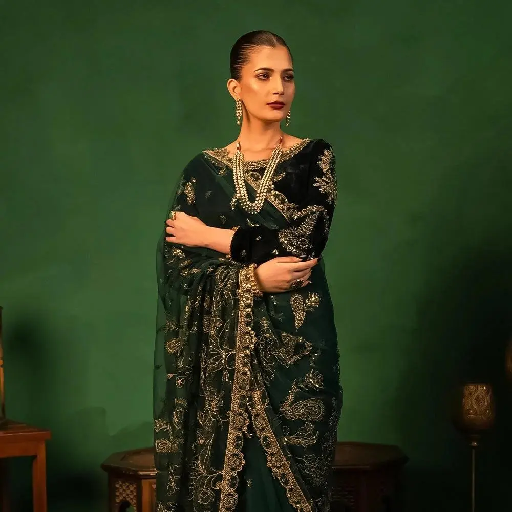 Women's Luxury 2 Pcs Silk Organza Saree Set - Long Sleeve Velvet Blouse, Front Back Embroidery, Velvet Net Pallu, Motif Patterns, Organza Patch
