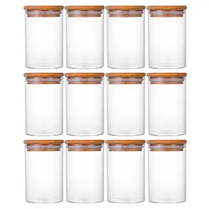 12-Piece Glass Food Storage Jar Set (8.5oz), Clear Glass Storage Jars with Lids, Pantry Organisation Jars, Seasoning Jars, Flower Tea Jars, Coffee Sugar Jars, Kitchen Mini Jar Set