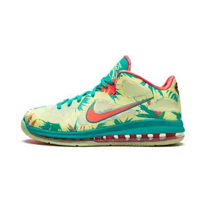 LeBron 9 Low "LeBronald Palmer" DO9355 300