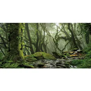 Foggy Forest Terrarium Background Stream Green Huge Tree Reptile Habitat Background Tropical Rainforest Aquarium Background 36x18 inches Durable Polyester Background