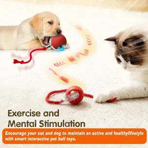 Interactive Cat and Dog Rolling Ball Toy with Tail Motion Activated Smart Electric Pet Teaser with Light Effects Fast Rolling on Rug Durable Bite Resistant Automatic Exercise Anti Depression Fun Gift for Indoor Outdoor Cats and Dogs USB Rechargeable