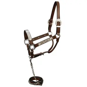 Horse Leather Silver Show Halter w/ chain lead
