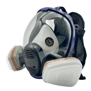 HOT ！Reusable Anti-Fog Full Face Mask Set with Filter Cartridge, Gas Dust Protection, Ideal for Painting Woodworking DIY Chemicals