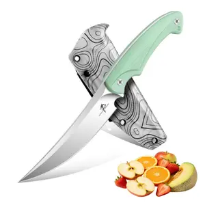 Purple Dragon Fruit Knife  Knives with Silvery Blade & Blue Handle Home Kitchen Tools Great for Slicing Fruits