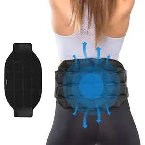 Reusable Sap Gel Ice Pack for Back Pain Relief, Wearable Cold Pack, Hot & Cold Therapy Pad for Waist, Lower Lumbar, Sciatica Nerve Injury Treatment