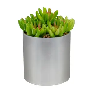 Northlight 4.75" Potted Artificial Sedum Succulent Northlight 4.75" Potted Artificial Sedum Succulent