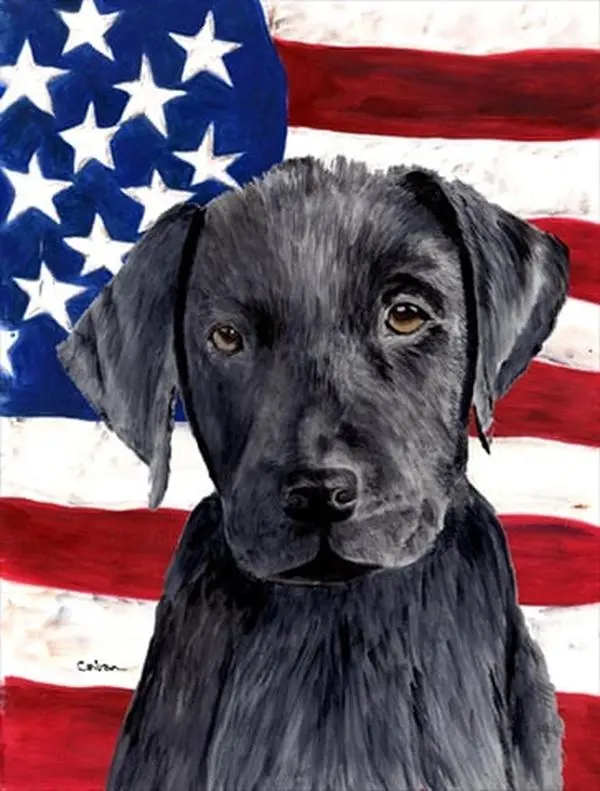 11 x 15 in. Usa American Flag With Labrador Flag Garden Size