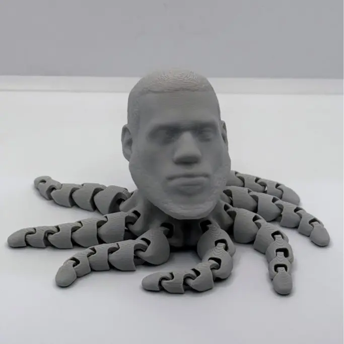 Lebron James Octopus Fidget - Portable Stress Relief Tool for All Ages