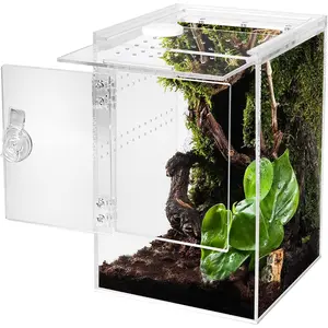 Tall Arboreal Tarantula Enclosure No Assembly Required, Jumping Spider Enclosure, Front Above Opening, Cross Ventilation, Acrylic Arboreal Reptile Enclosure, Praying Mantis Enclosure