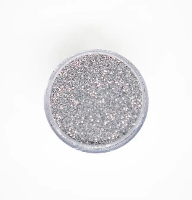 BIODEGRADABLE - The Metallics - Silver Steel - Glitter