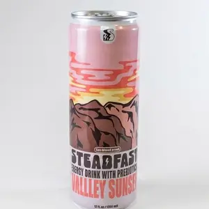 STEADFAST Prebiotic Fiber Energy Drink