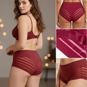 Women's 6-Pack Sheer Ice Silk Mid-Waist Panties - Breathable Soft Underwear, Striped, Butt-Lifting, Semi-Transparent, Seamless Bikini Briefs for Fitness & Everyday Wear, Sheer Panty, Soft Comfy Panty