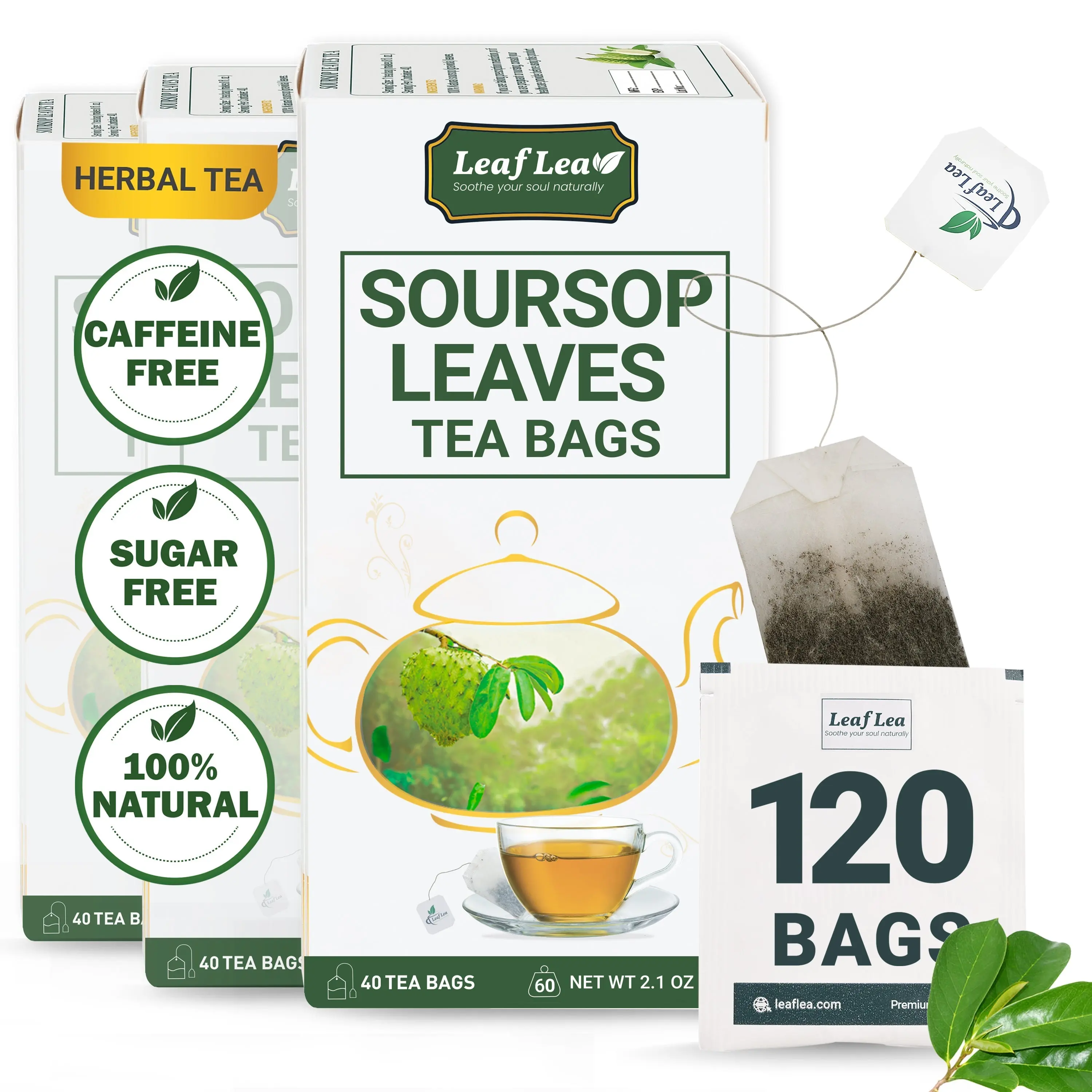 LeafLea Premium Soursop Leaf Tea Bags – Pure & Natural Graviola Herbal ...
