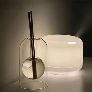 Clear Glass Aromatherapy Diffuser, 1 Count Portable Glass Diffuser Bottle, Non-Electric Home Fragrance Oil Diffuser for Bathroom, Living Room, Hotel, Salon