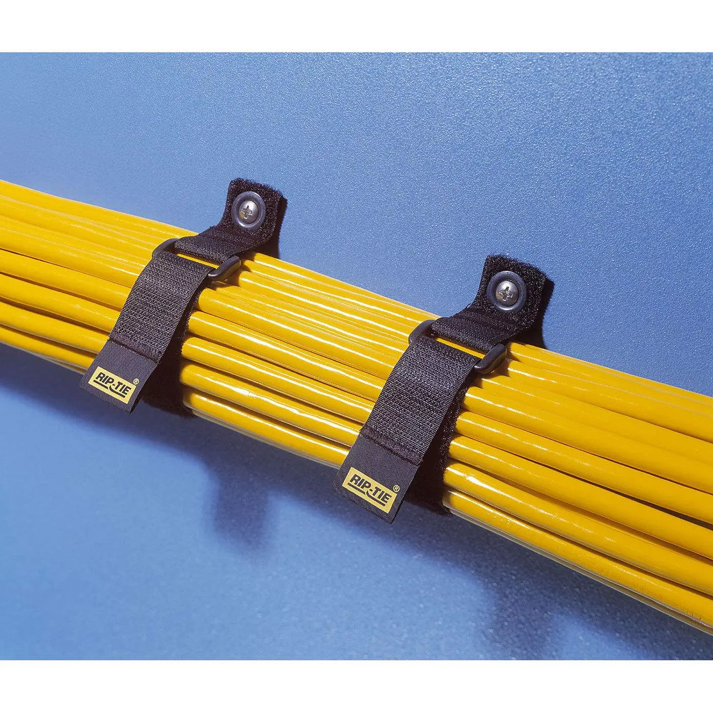 Rip-Tie CinchStrap-EG (1 x 7", 10-Pack, Black)