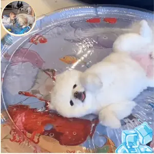 Scratch Resistant Pet Water Mat With Sensory Toy Anti Bust Water-Filled Cooling Pet Bed For Clawed Pets Water Play Mat For Dog Cat-25.6 inches