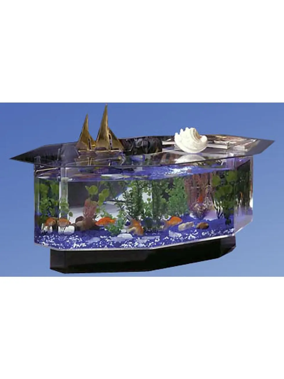 Streched Octagon Coffee Table Aquarium