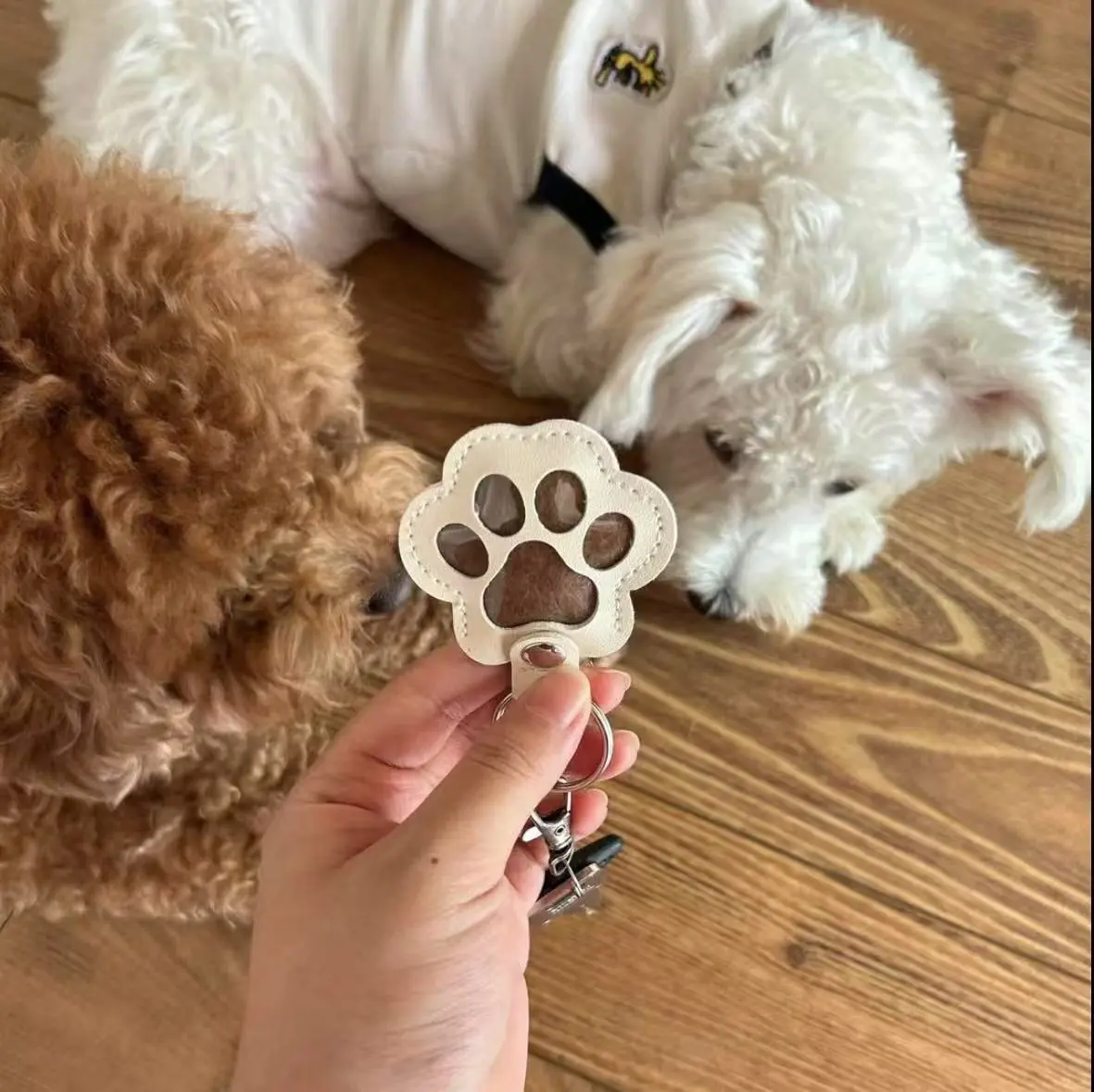 Happy Sumi Pet Hair Keychain Hanger, Creative Home Organizer Remembrance Gift for Pet Owners to Collect and Commemorate, Remembrance Gifts