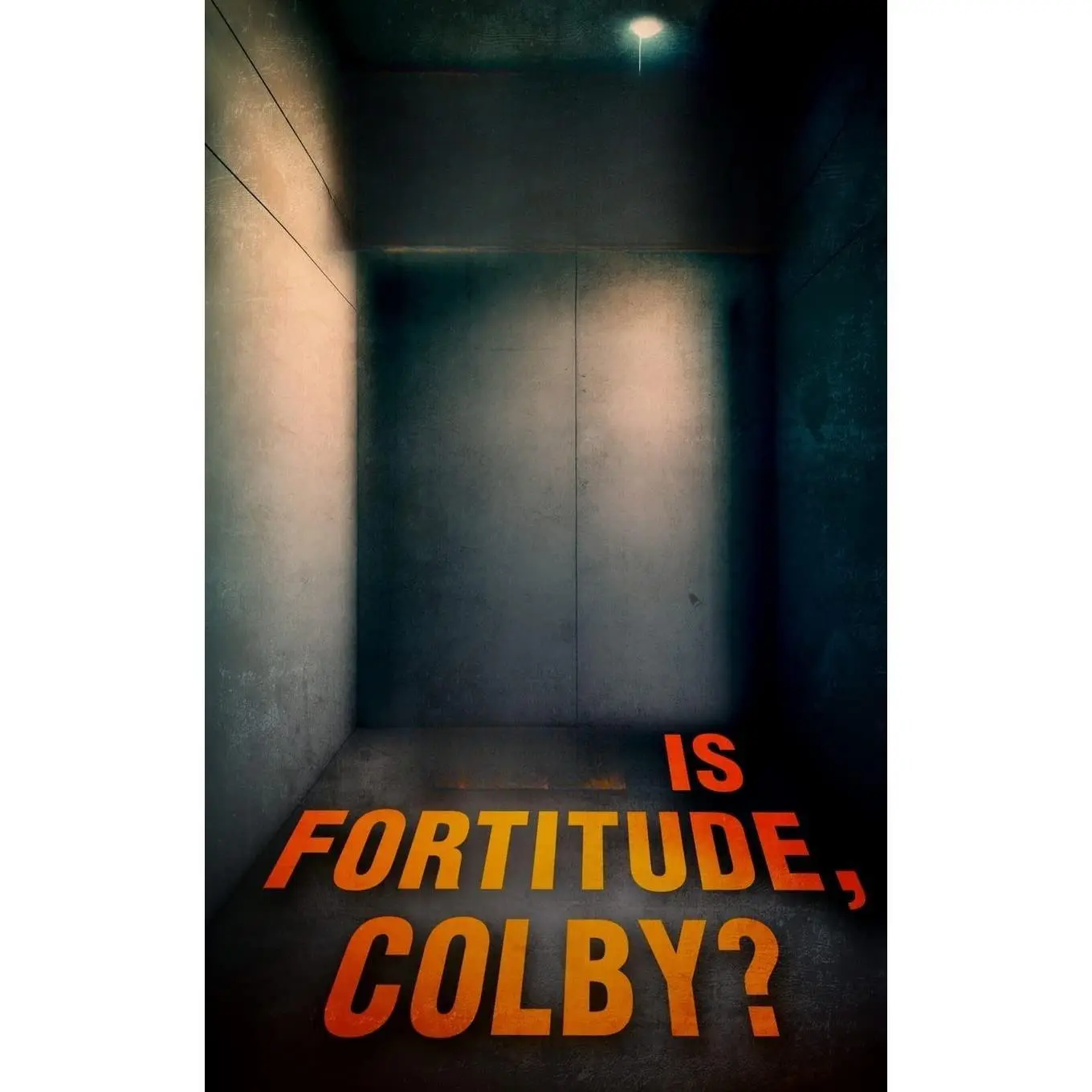 What is Fortitude Colby  Must Read Mystery Thriller Paperback June 1 2023