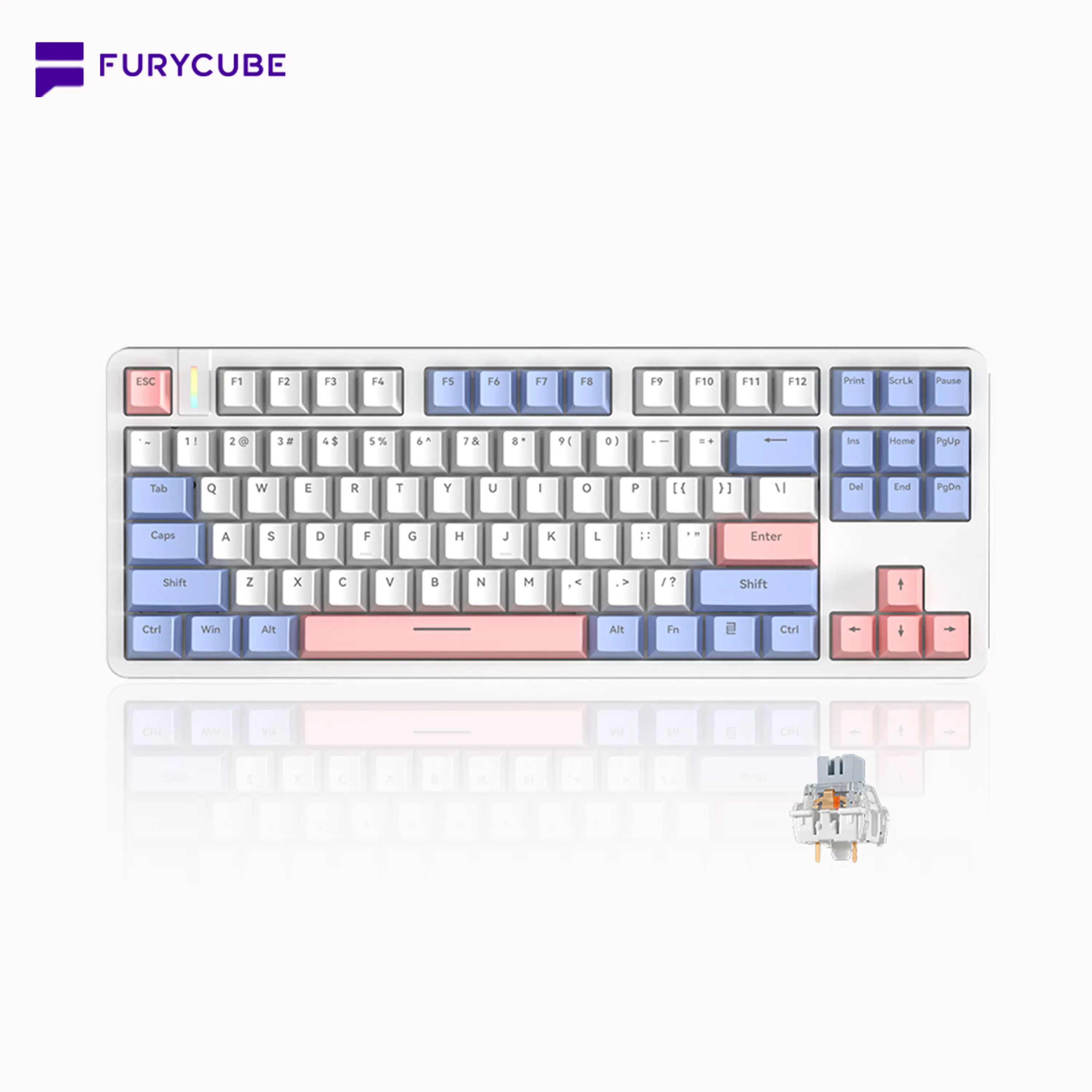 [Clearance Sale] FURYCUBE G87 Mechanical Keyboard, 87keys Gasket Structure, Hot-Swappable Switch, PBT Double-shot Keycaps, Rainbow Backlit USB-C Wired, Office/Gaming Computer Accessories, Summerwins, Budget Gift