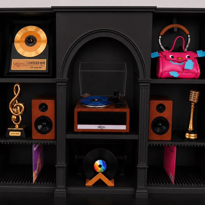 Shelf mini brands vinyl