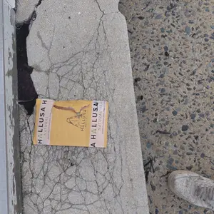 Product Review of HALLUSA NATURAL HALLOSMINE 300 Mg Diosmin Circulation 60 Capsules Gluten-Free Organic GMO-Free Sugar-Free Supplement for Healthy Circulation & Veins Health Made in USA Dietary from w**3