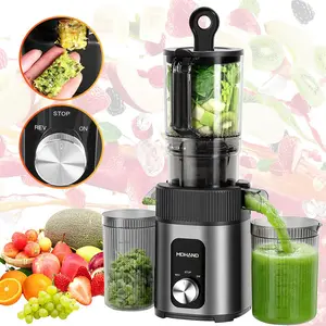 Slow Masticating Juicer, 200W Cold Press Juicer with 112mm Large Feed Chute, 60 RPM, Reverse Function, Easy to Clean, Stainless Steel Housing