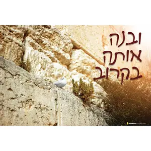 Glowing Kosel Sukkah Poster