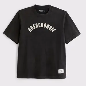 Abercrombie & Fitch premium heavyweight 2.0 logo tee