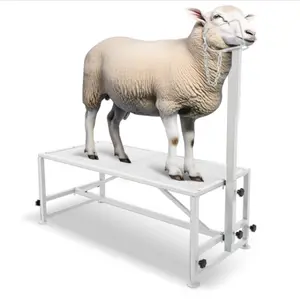 Livestock Stand 51x23, Adjustable Goat Milking & Sheep Trimming Stand, Steel Frame, 500lbs Capacity Animal