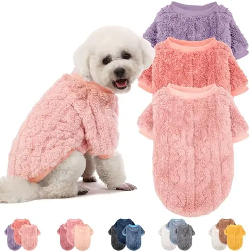 Pink, Purple, Rose Red