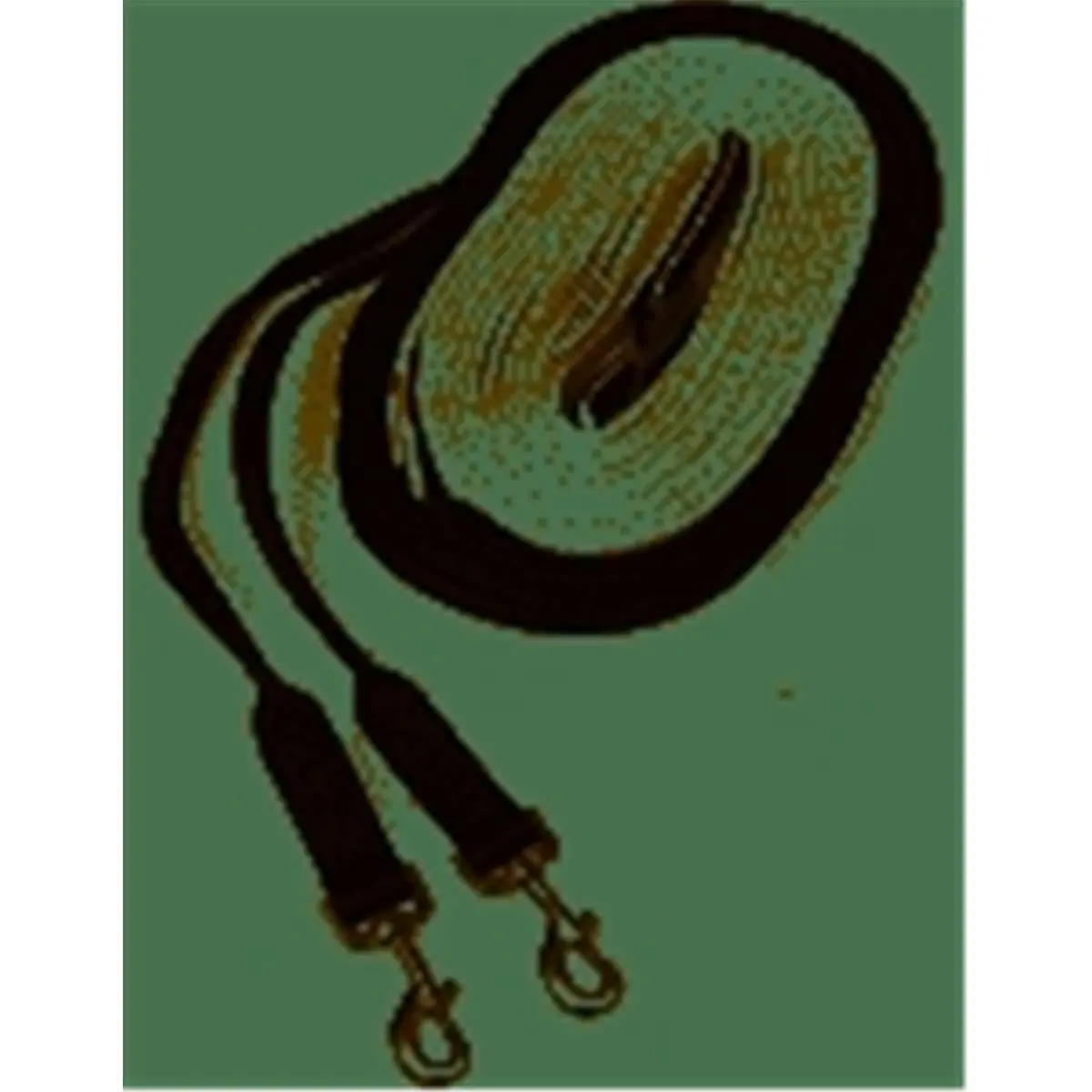 212 MAIN Bird Training Driving Reins - 30 ft Heavy Nylon & Cotton Webbing, Leather Accent, Bolt Snap, High-Quality Selection Training Aid for Pet Birds