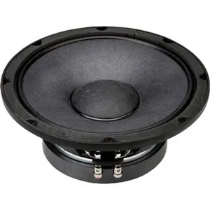 P Audio  High Output 12 Inch Precision Transduce, Live Sound