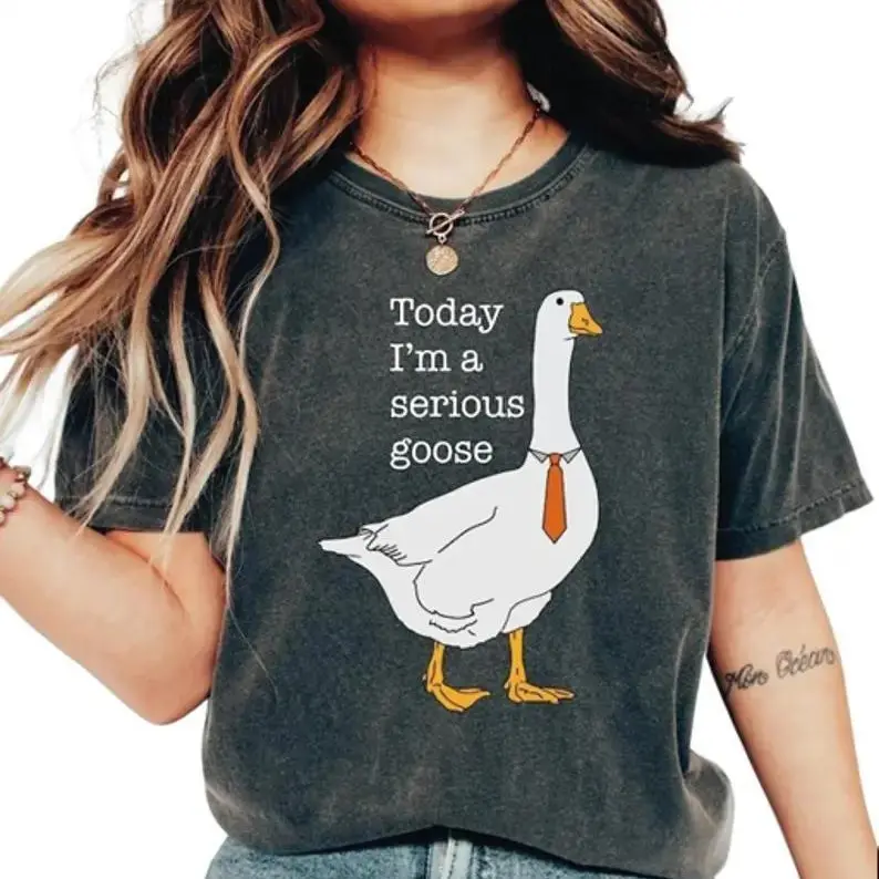 Today I'm A Serious Goose Shirt, Funny Silly Shirt, Funny Goose Shirt, Shirts for Men, Funny Goose T-Shirt