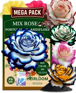 300 Mix Colorful Rose Seeds Rainbow Rose for Easy Garden Growth  Flowers All Seasons Perfect for Beginners & Experienced Gardeners outdoorfun