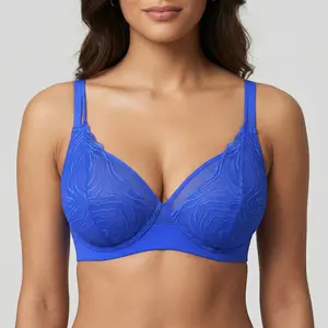 HSIA Serenata Floral Linear Plus Size Lace Sheer Mesh Full Coverage Adjustable Straps Unlined Underwire Bra