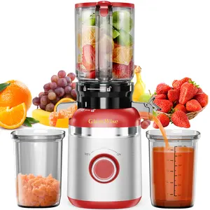 GlowWise Professional Cold Press Juicer & Slow Juicer Machine - High Yield Quiet Motor, Easy Clean, BPA-Free, Nutrient-Rich Juice for Healthy Living, Compact Design