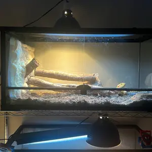 Reptile terrarium 45 gallon glass reptile tank 16x78x7 with top screen ventilationhide cavewater bowl for bearded dragonlizardspiderhamsterhermit crab turtle tortoise
