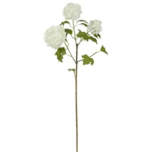 Snowball Hydrangea - Two Tone White